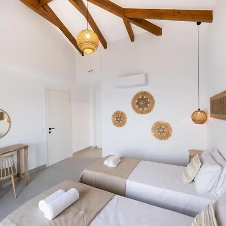 Cactus By Vintage Travel *