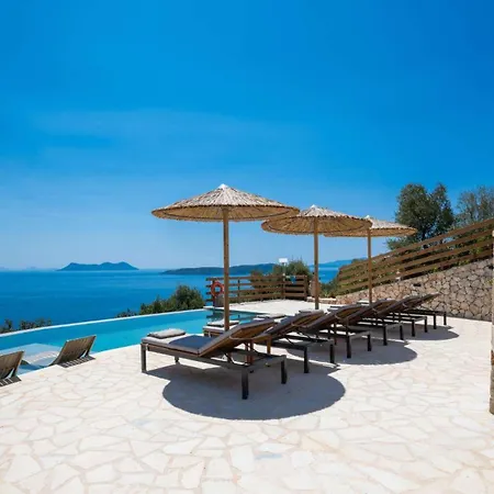 Cactus By Vintage Travel *