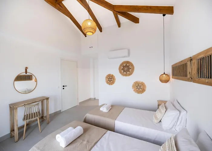 Cactus By Vintage Travel *