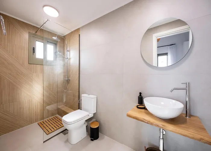 Cactus By Vintage Travel