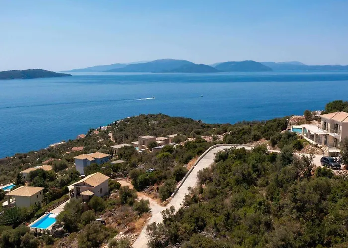 Cactus By Vintage Travel *