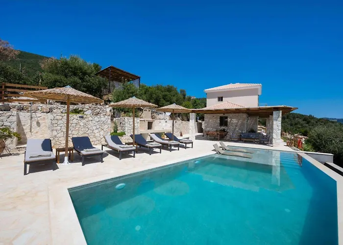 Cactus By Vintage Travel